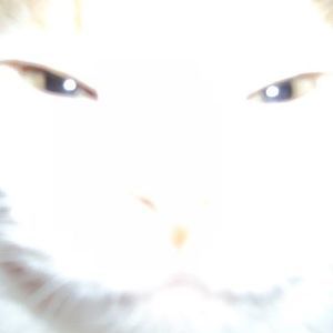 Meet your Posher, Cathy